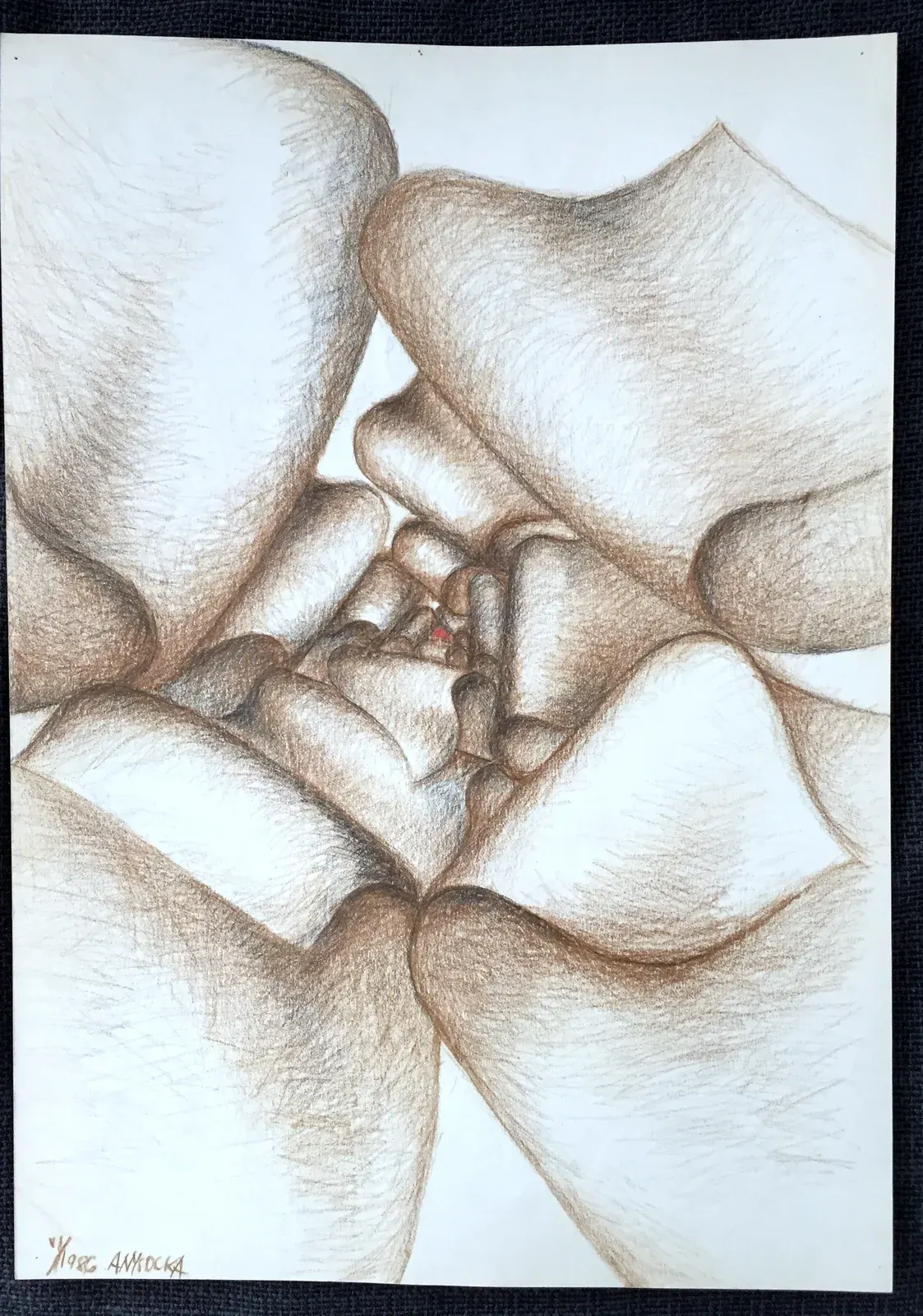 «Róża» (1986), pastello — opera di Antonina Wysocka-Jonczak