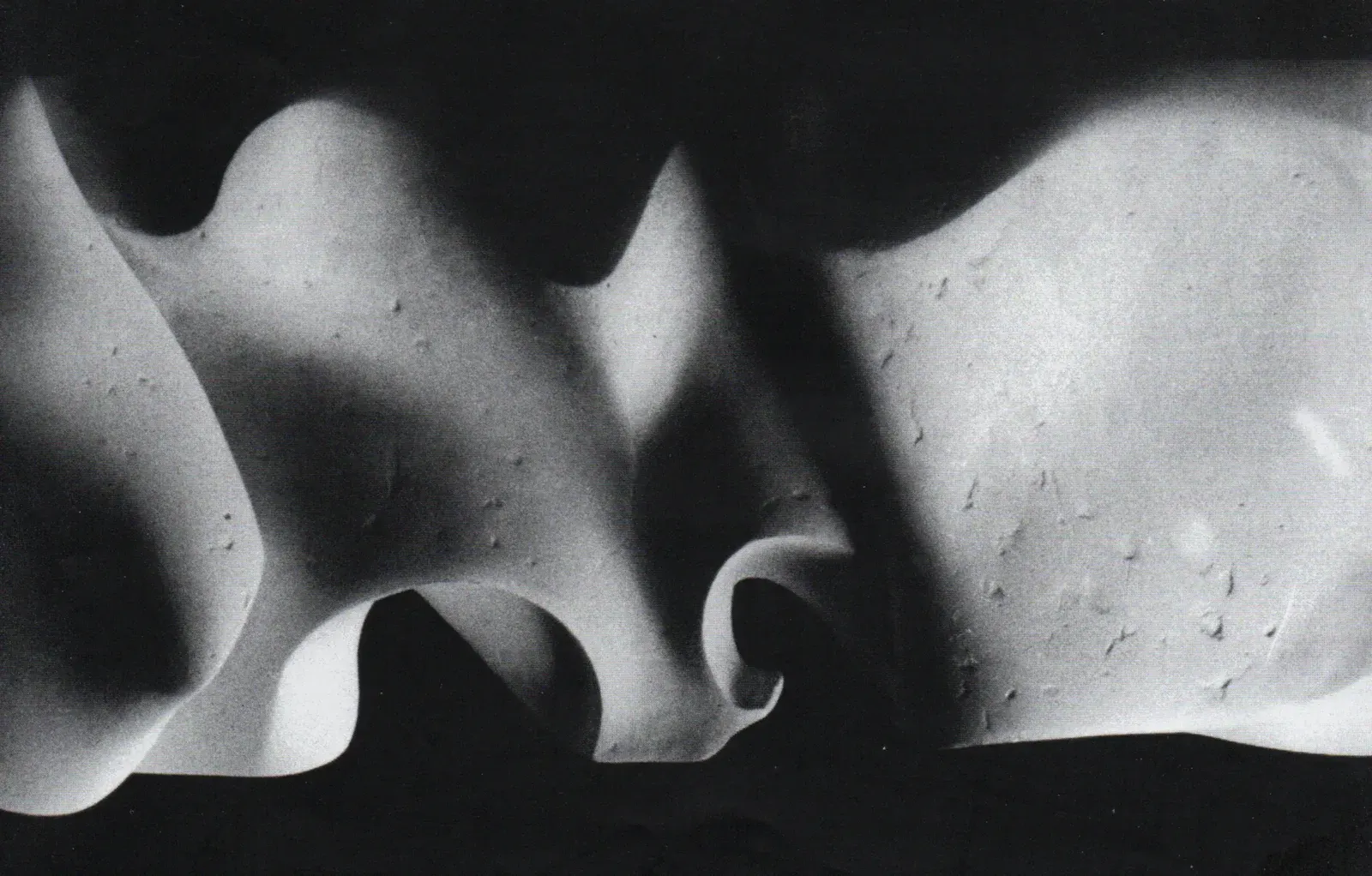 «Orzeł» (1978), arenaria di Brenna — opera di Antonina Wysocka-Jonczak