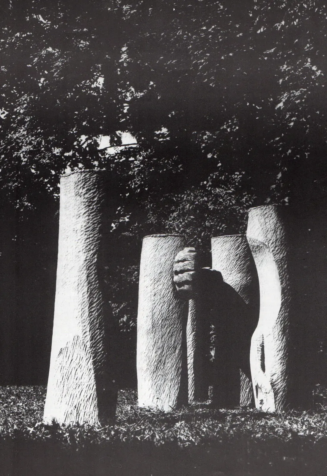 «Ręce» (1971), rovere — opera di Antonina Wysocka-Jonczak