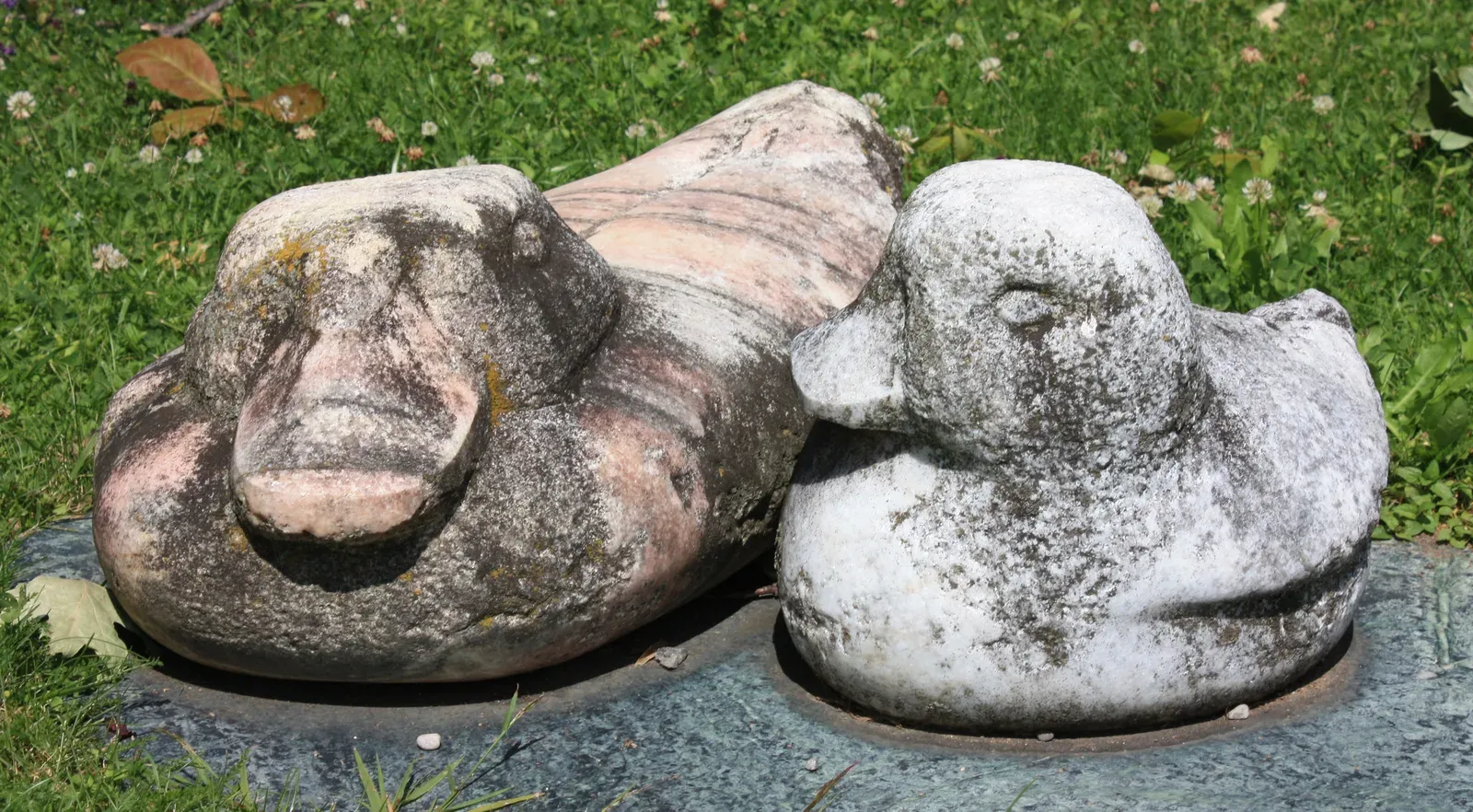 Due anatre di marmo accostate viste da vicino: quella a sinistra venata di rosa e macchiata di licheni, quella a destra grigio chiaro, con la testa raccolta