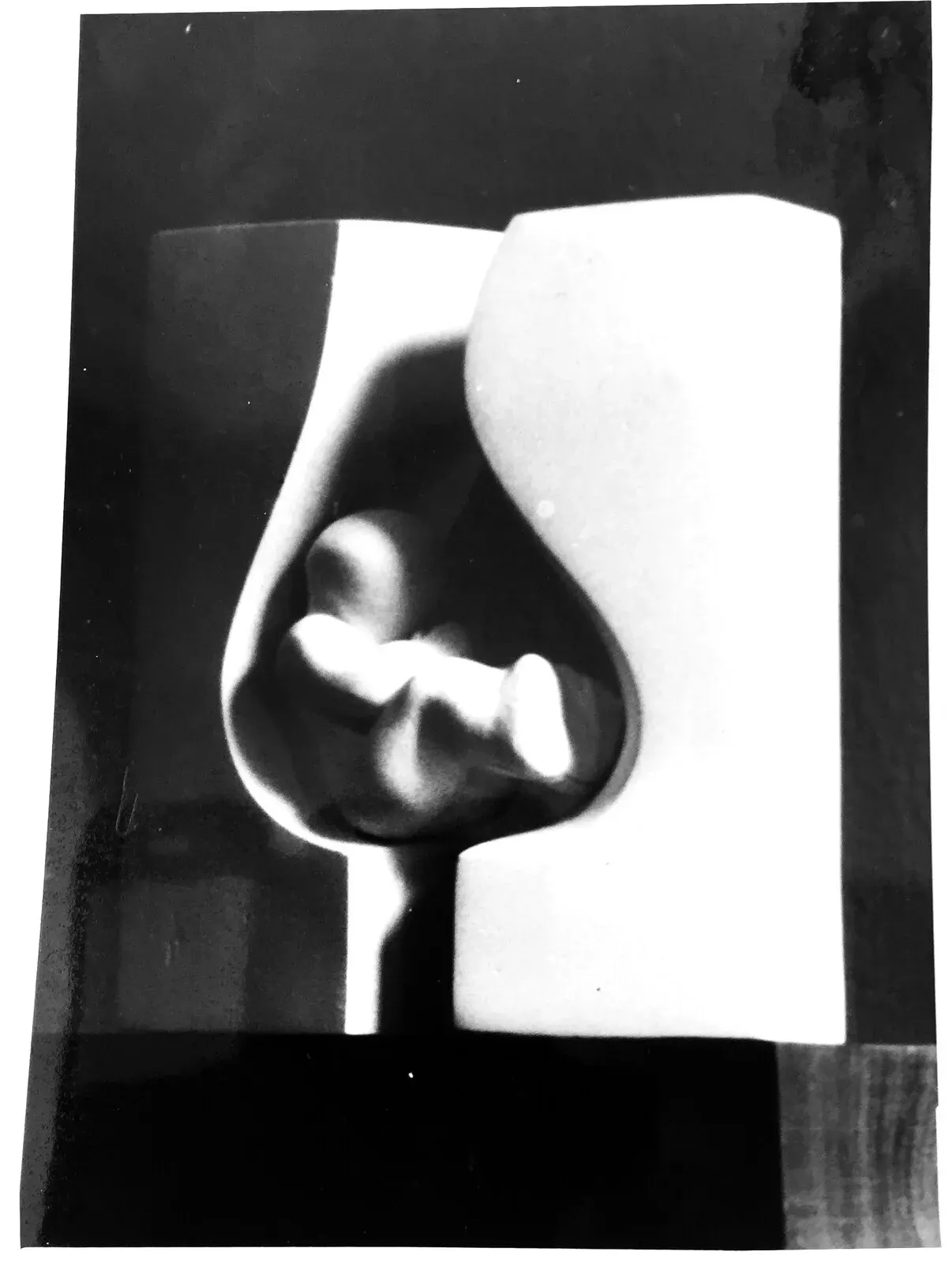 Cywilizacja II — Fotografia B/N di maquette: forma raccolta dentro una cavità